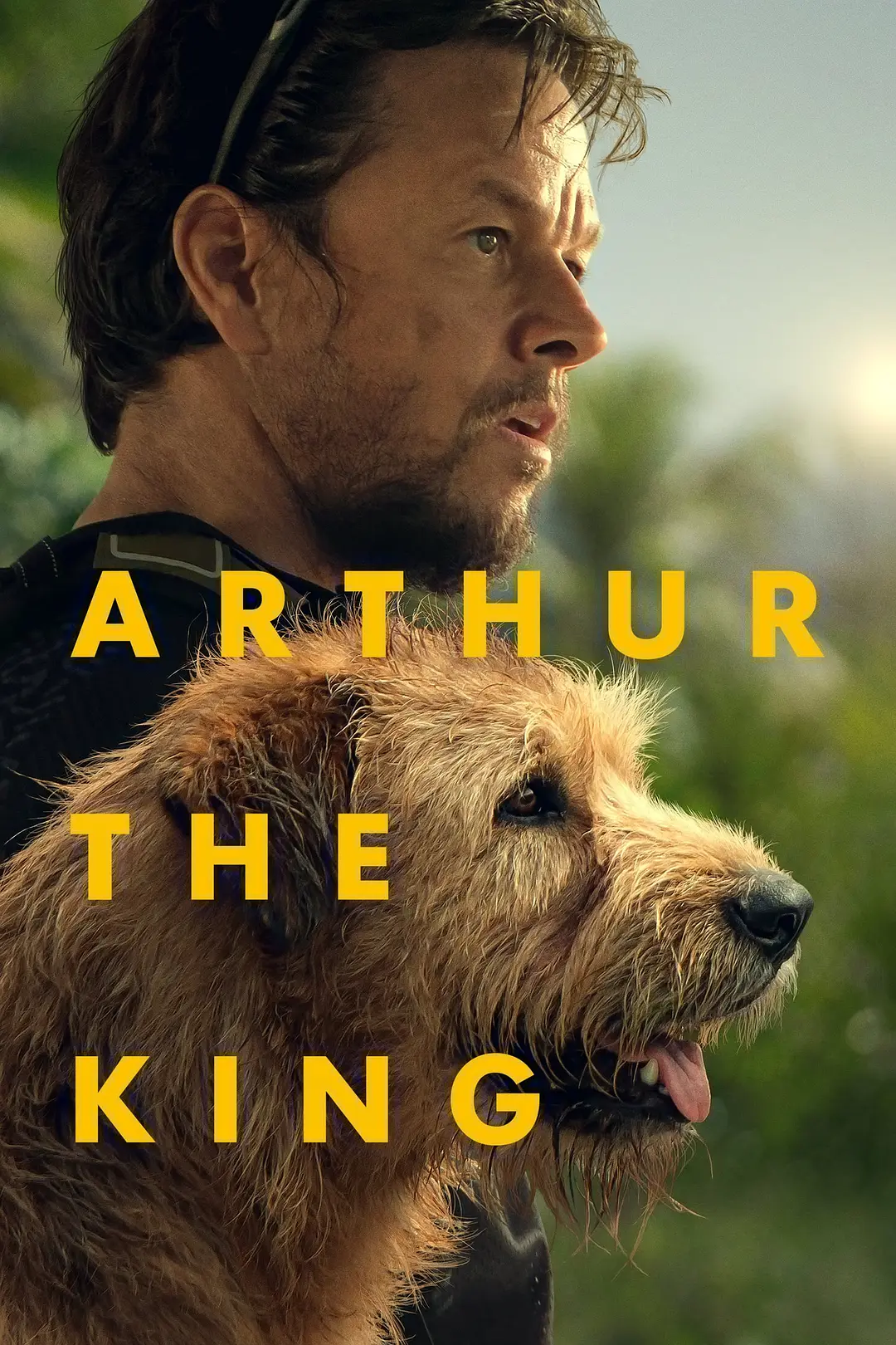 【Arthur the King】海报