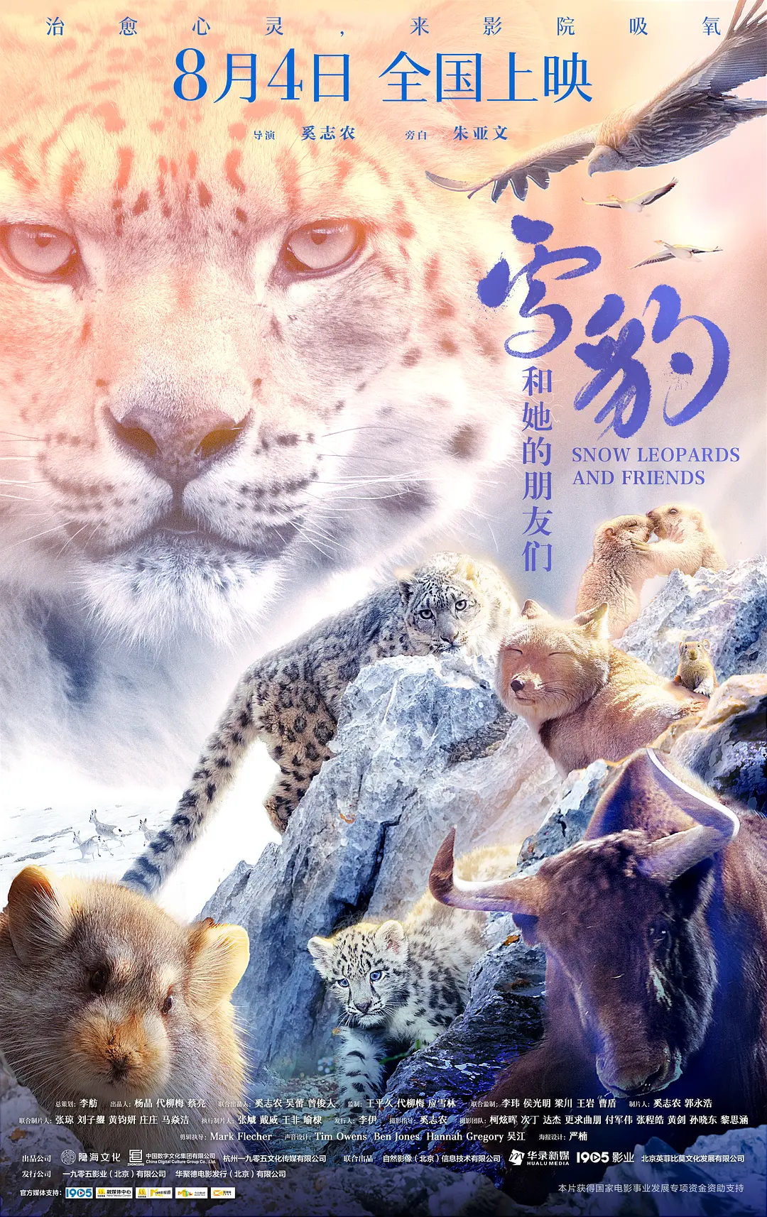 【Snow Leopards and Friends】海报