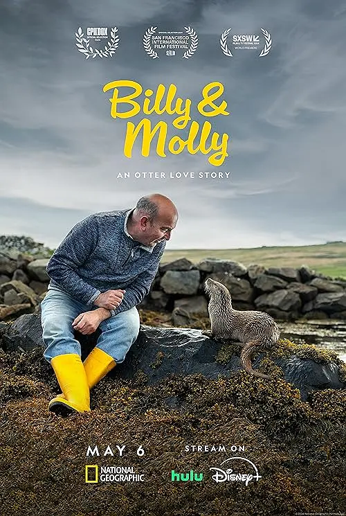 【Billy & Molly: An Otter Love Story】海报